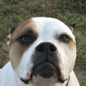 Meet your Posher, Robert